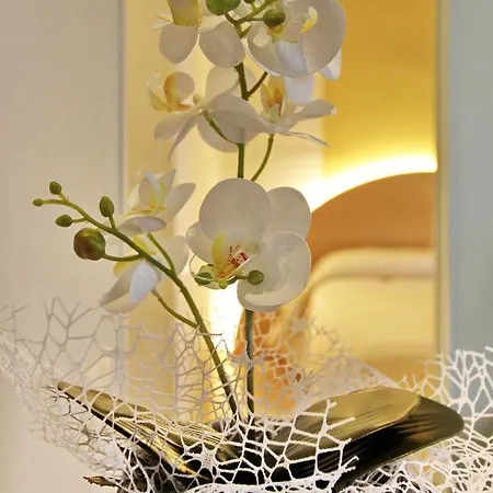 Dea Πανσιόν 4*